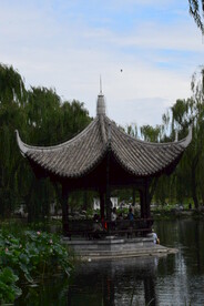 公园风景