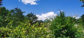 公园风景