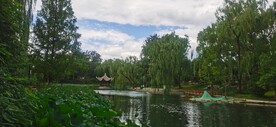 公园风景 