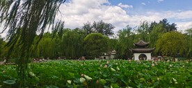 公园风景