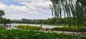 公园风景