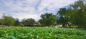 公园风景