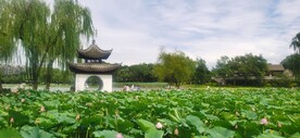 公园风景 