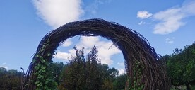 公园风景 