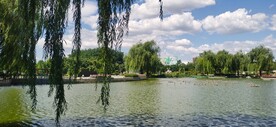 公园风景