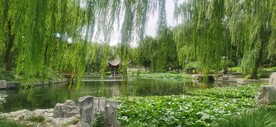 公园风景 