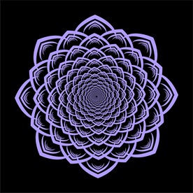 花纹效果