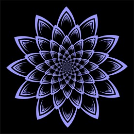 花纹效果