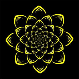 花纹效果