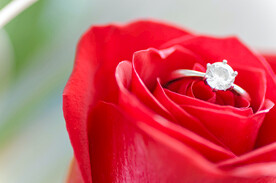 玫瑰婚戒