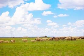 内蒙古赤峰草原图片