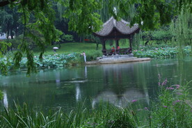 公园风景 