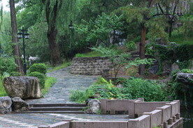 公园风景 
