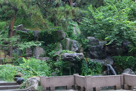 公园风景 