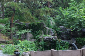 公园风景
