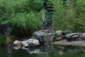 公园风景 