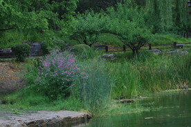公园风景