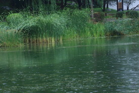 公园风景 