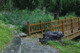 公园风景