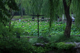 公园风景 