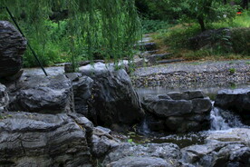 公园风景 