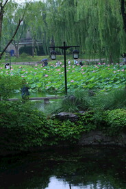 公园风景