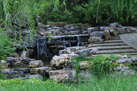 公园风景