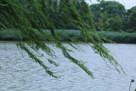 公园风景 