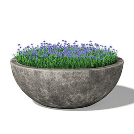 C4D模型 花坛  