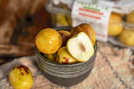 西北大脆枣
