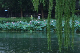 公园风景