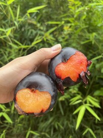 黑布林
