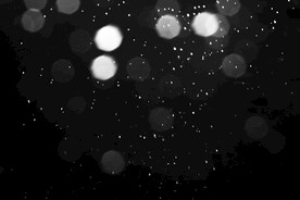 雪花