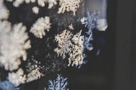 雪花