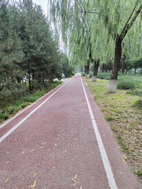 晨练跑道