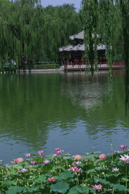 公园风景 