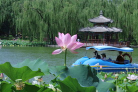公园风景 