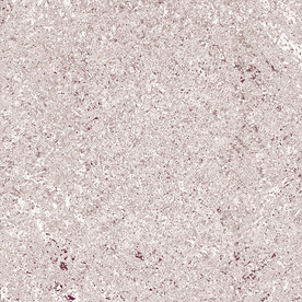 浅色颗粒磨砂墙壁石砖背景底纹