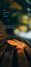 立秋