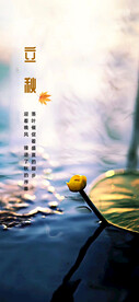 立秋