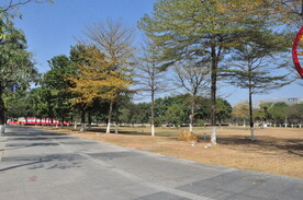公园市政绿化