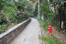 山路