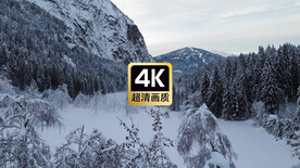 冬日雪原丛林美景