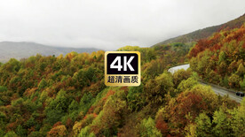 山间道路上行驶的汽车