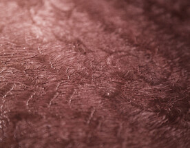 暗调玫瑰金色磨砂背景图片