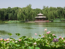 公园风景 