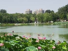 公园风景 