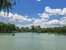 公园风景