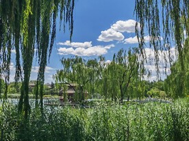 公园风景  
