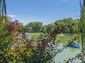公园风景